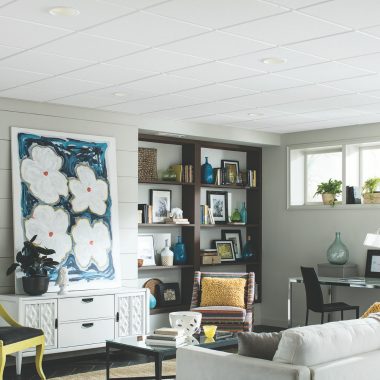 What You Should Know About Alternatives to Drywall Ceilings 