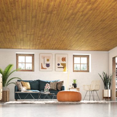 Decorative Ceilings for Every Space