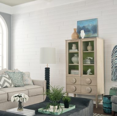 Cool Living Room with Shiplap