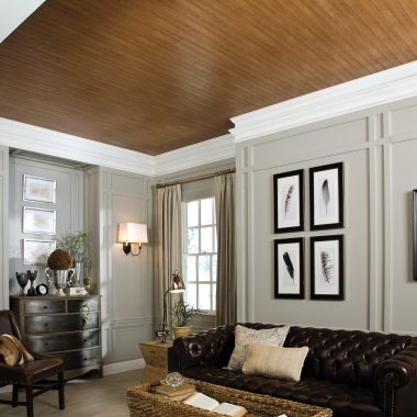 Tongue and Groove Ceiling Planks 