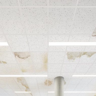Find the perfect replacement ceiling tiles