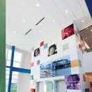 Mold/Mildew Resistance