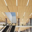 Panneaux de plafond LYRA à base de plante désormais offerts avec de nouveaux visuels d’aspect bois