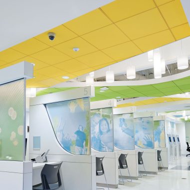 ULTIMA Health Zone Create! Image  (Swatch)