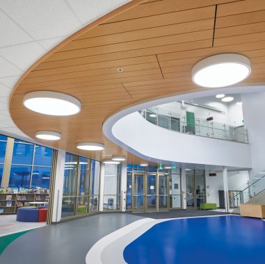 WOODWORKS Linear Veneered Panels Image  (Swatch)