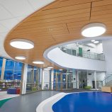 WOODWORKS Linear Veneered Panels