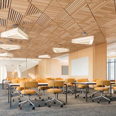 WOODWORKS Shapes for DESIGNFLEX Linear Tegular