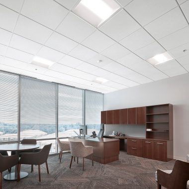 Light Commercial Ceiling Tiles