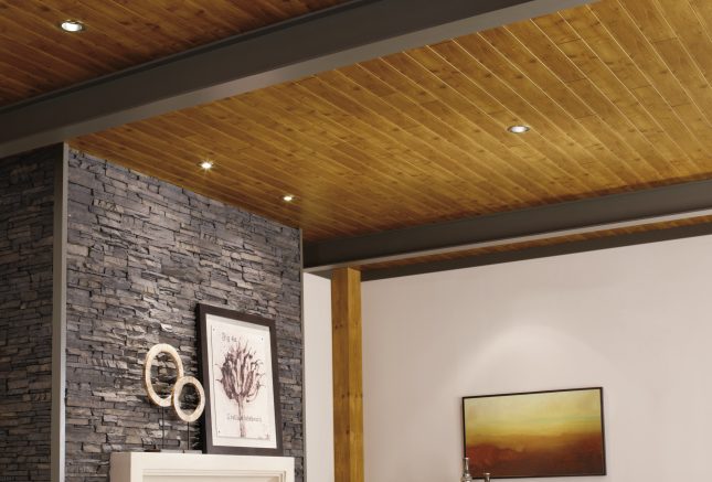 Plafonds à aspect bois Image média présentée
