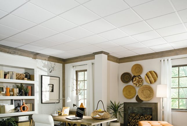 Ceilings for Narrow Grid Featured Media Image